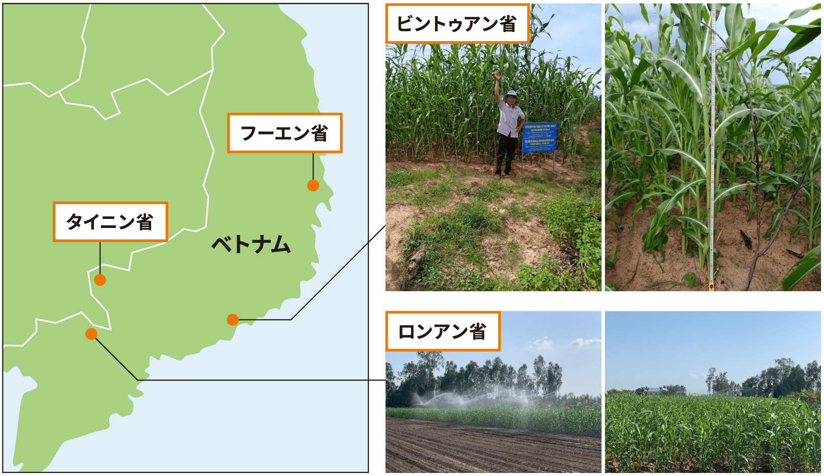 イメージ:ベトナムにおけるテスト作付の実績(2021年度)