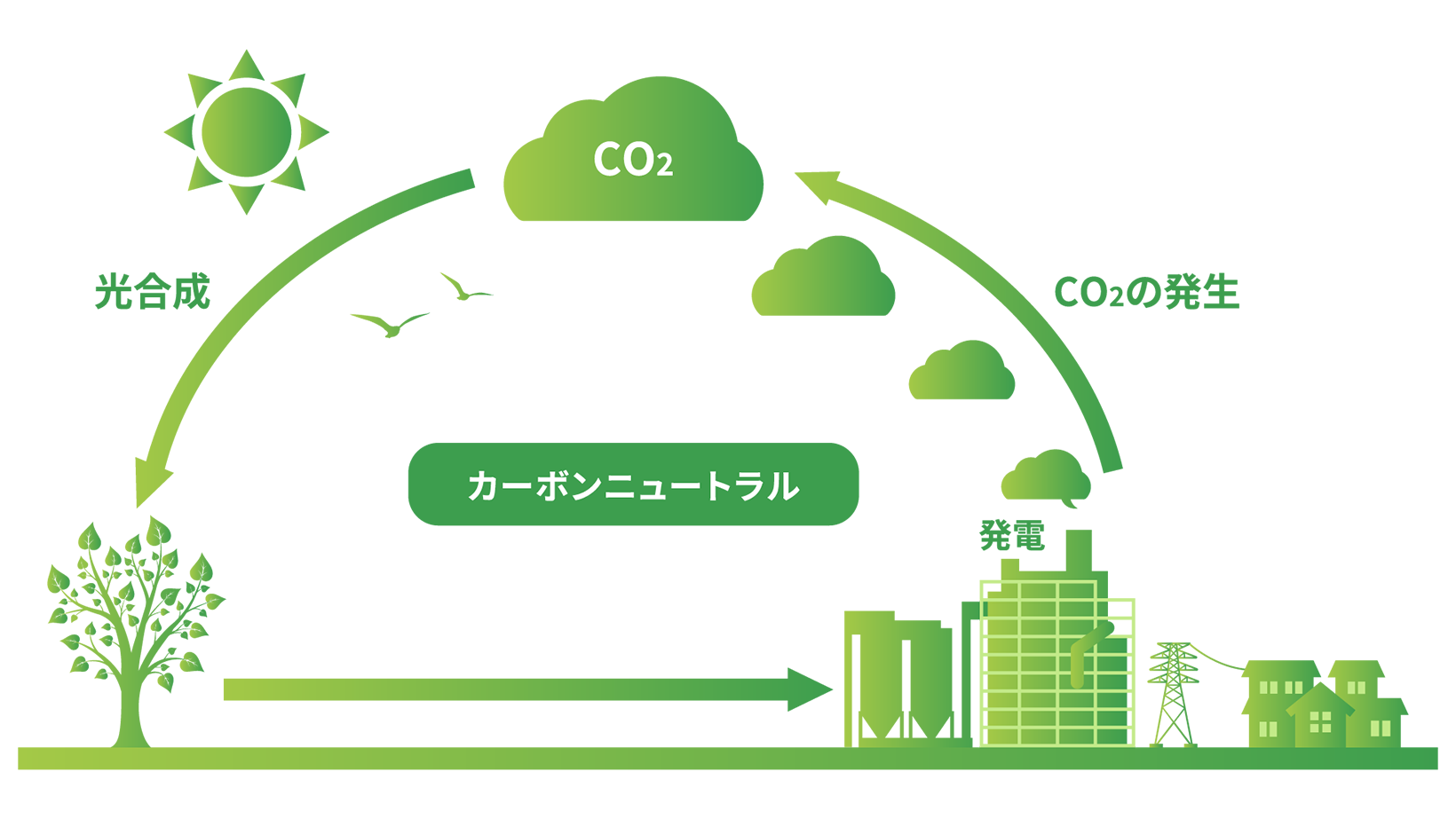 イメージ:バイオマス燃料とは