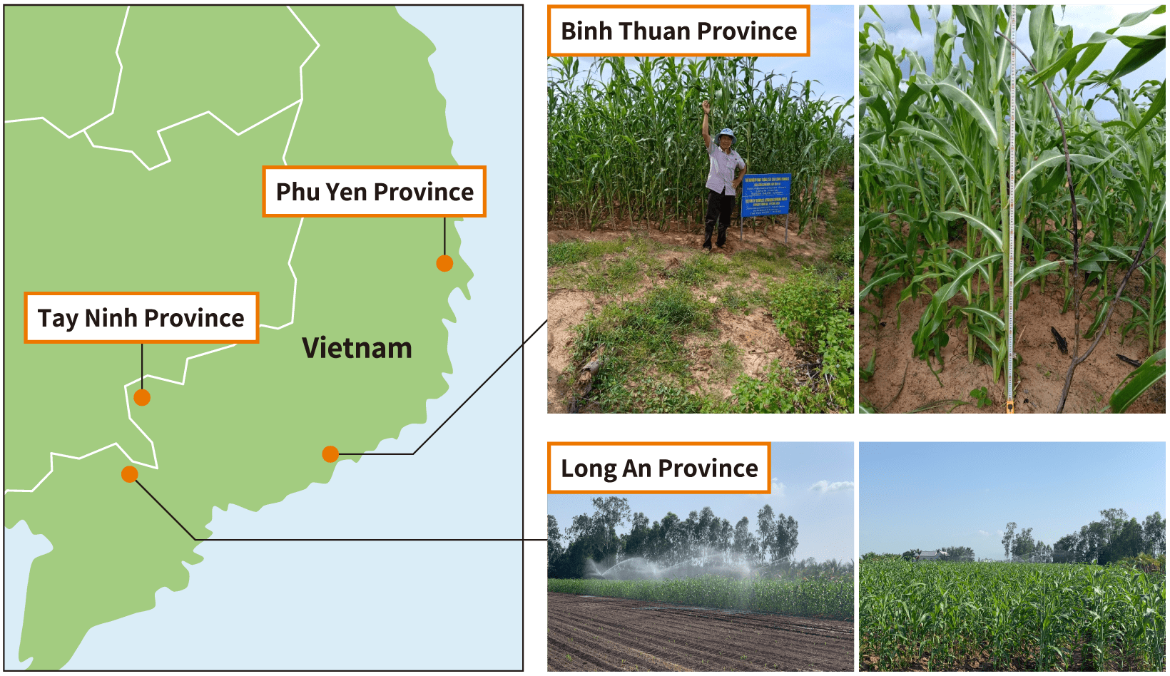 image:Results of Test Planting in Vietnam (FY2021)