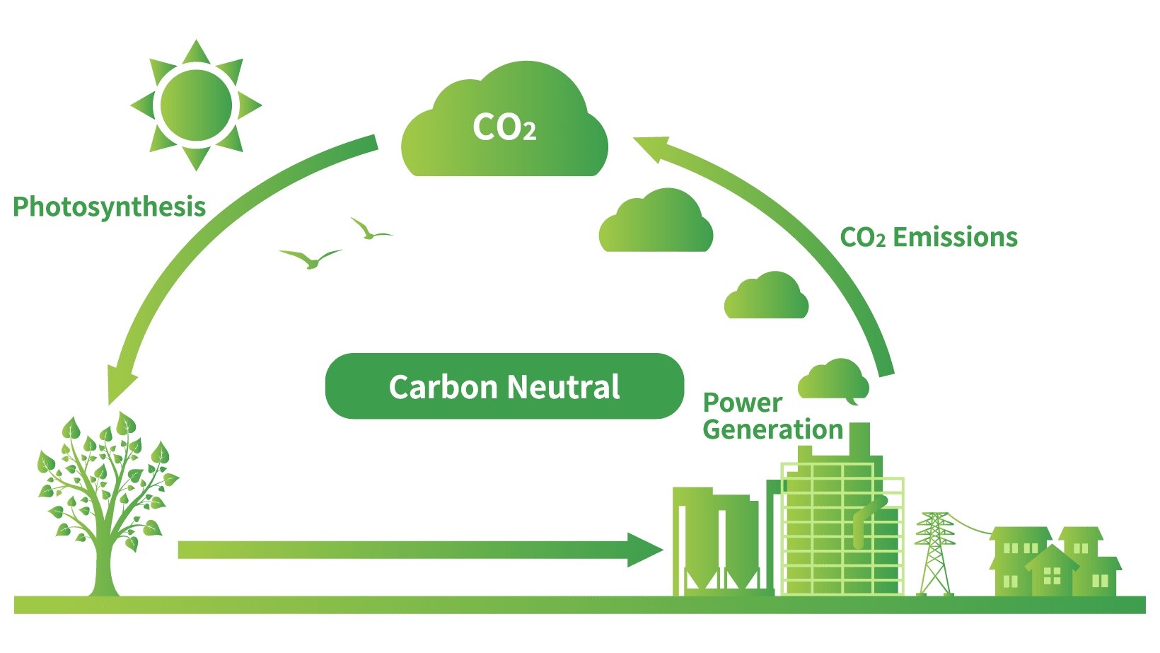 image:About Biomass Fuel