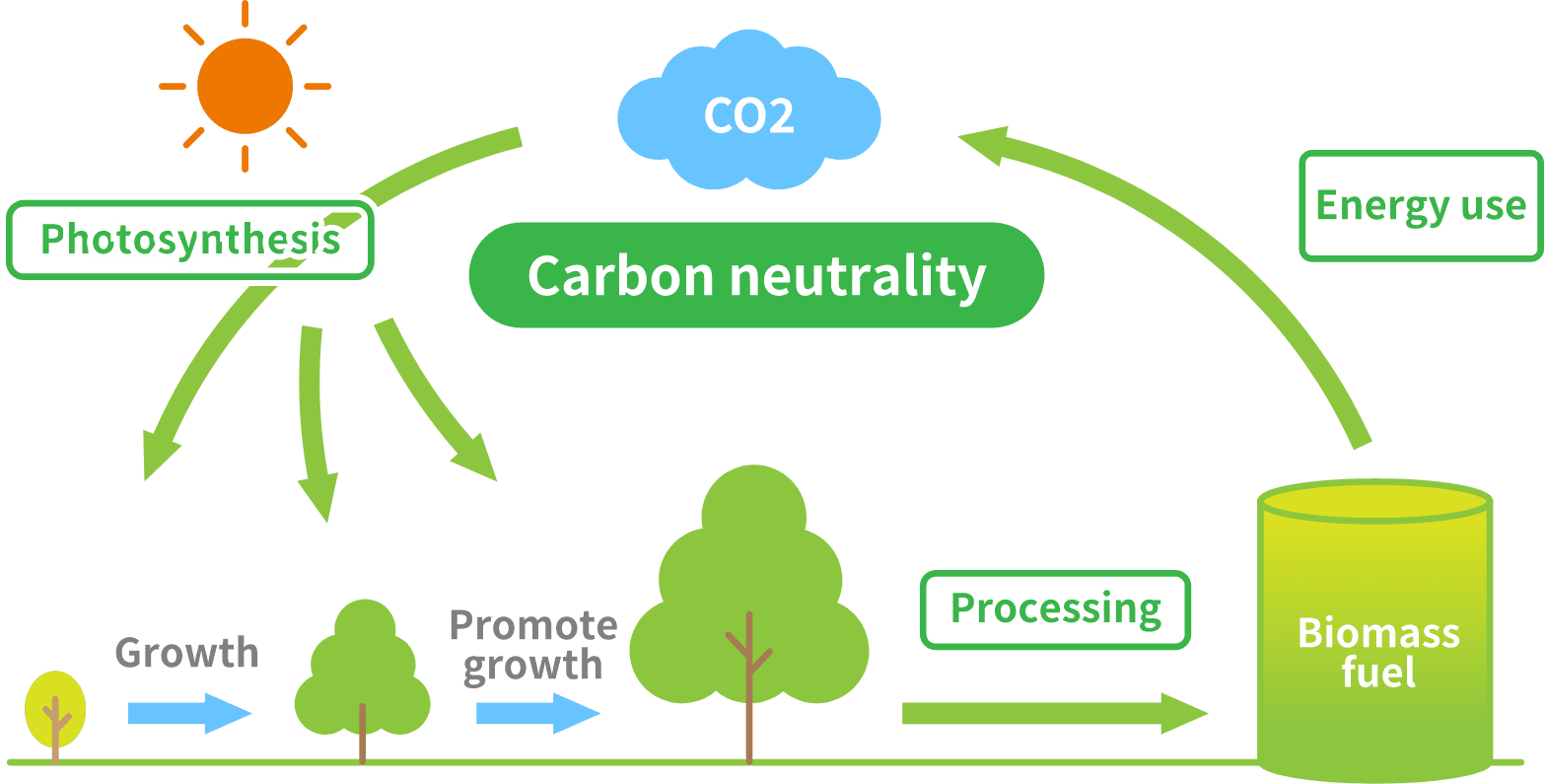 Contributing to global warming prevention and zero carbon society through biomass power generation