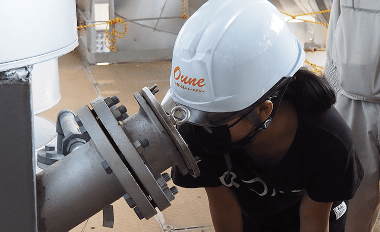 Observing biomass fuel burning in a boiler